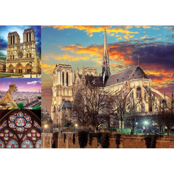 Educa Borras - Genuine Puzzles, Puzzle 1.000 piezas, Collage Notre Dame (18456)