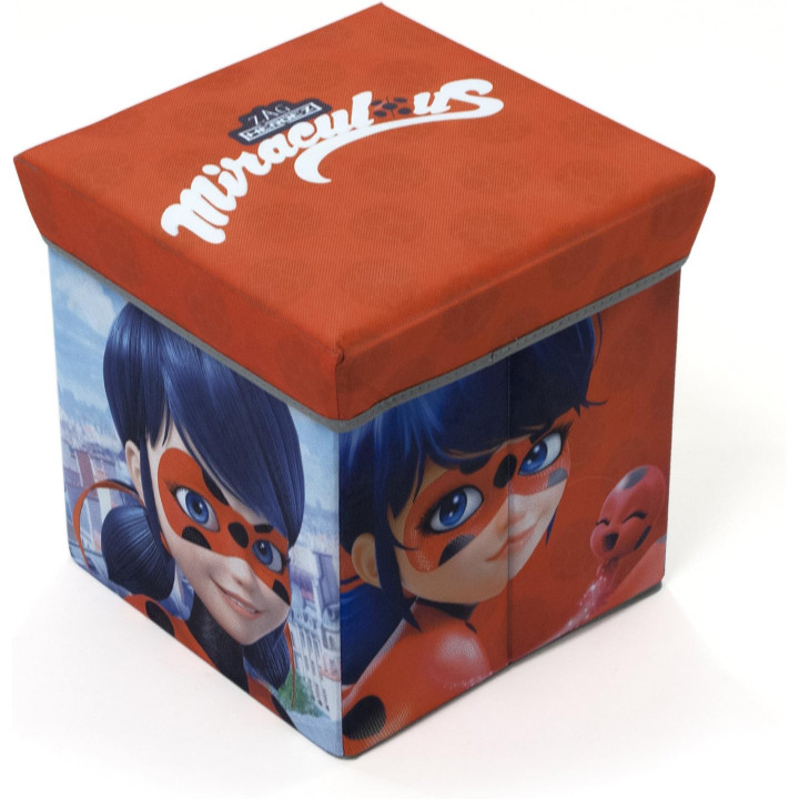 Arditex Ladybug LB11721 - Taburete contenedor de 30 × 30 × 30 cm