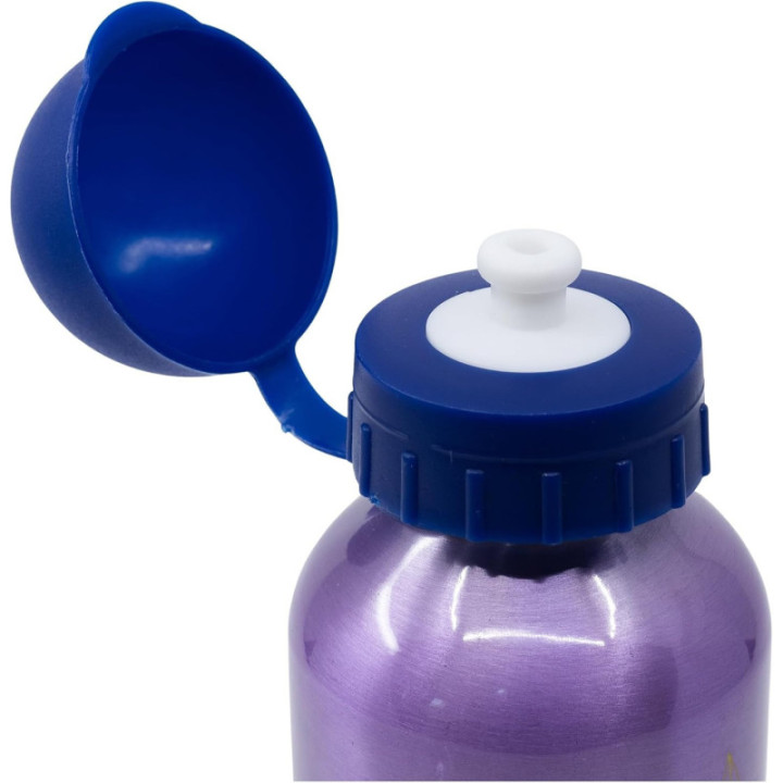 Stor cantimplora infantil de aluminio Frozen, 400 ml